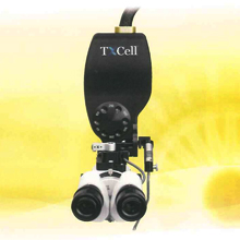 Spot Vision Screener